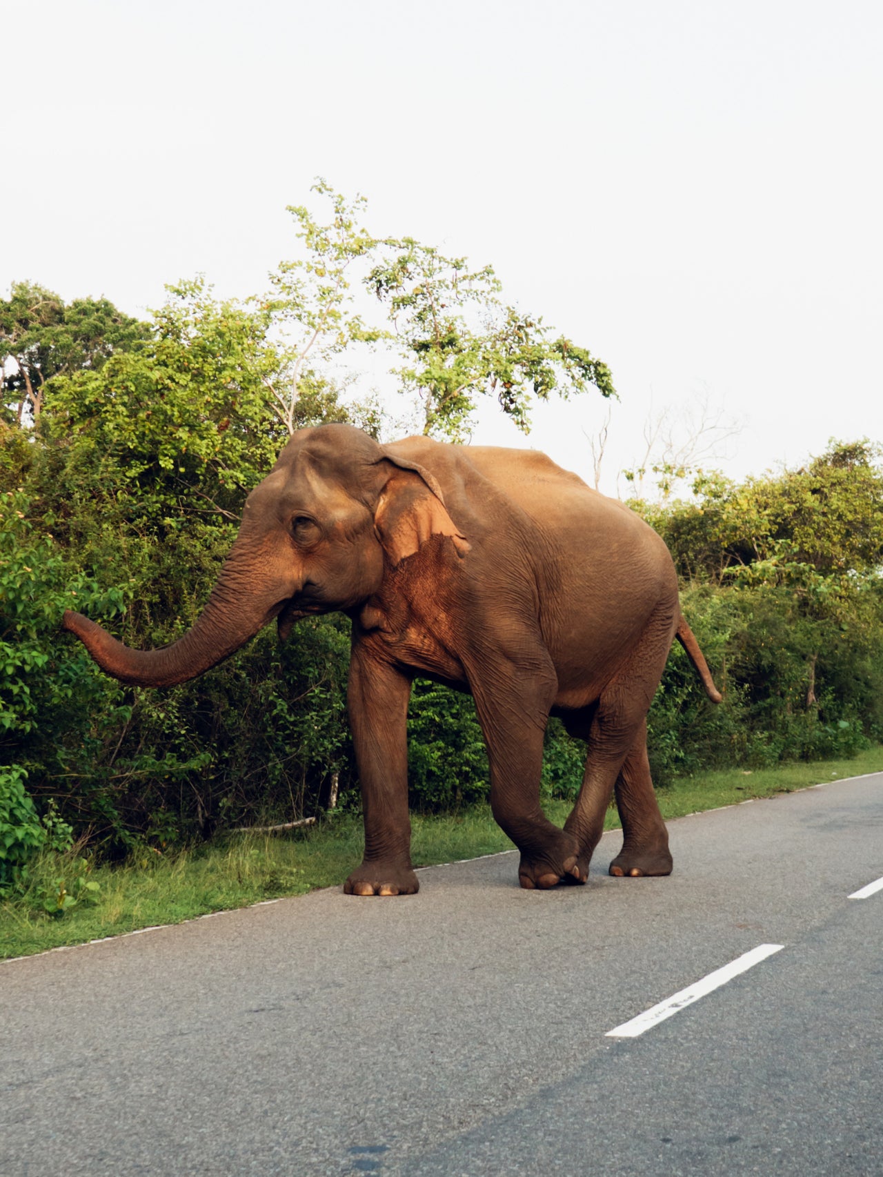 Weligama, Sri Lanka